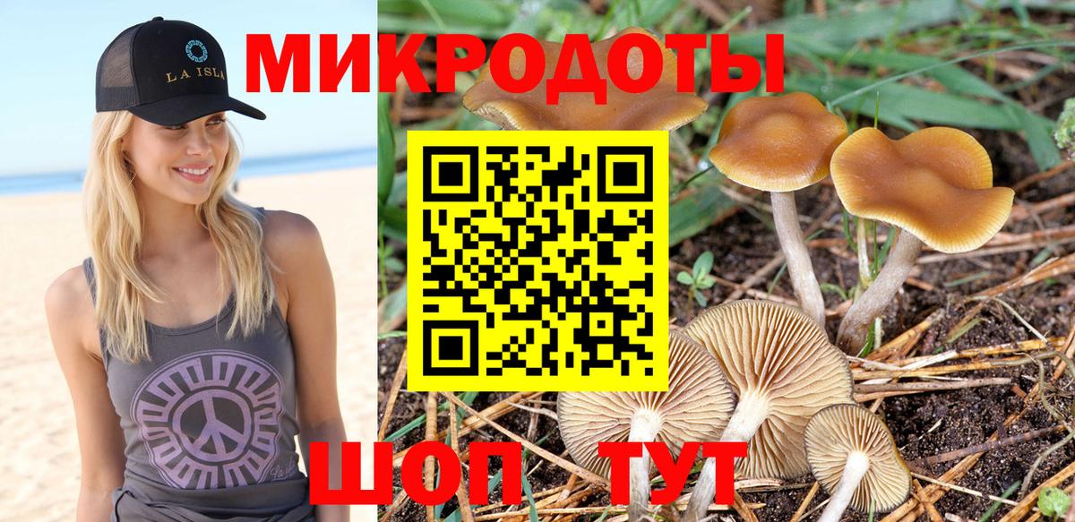 Галлюциногенные грибы ЛСД  Псилоцибиновые грибы MAGIC MUSHROOMS  магазин продажи   Вход с VPN  Калининград 